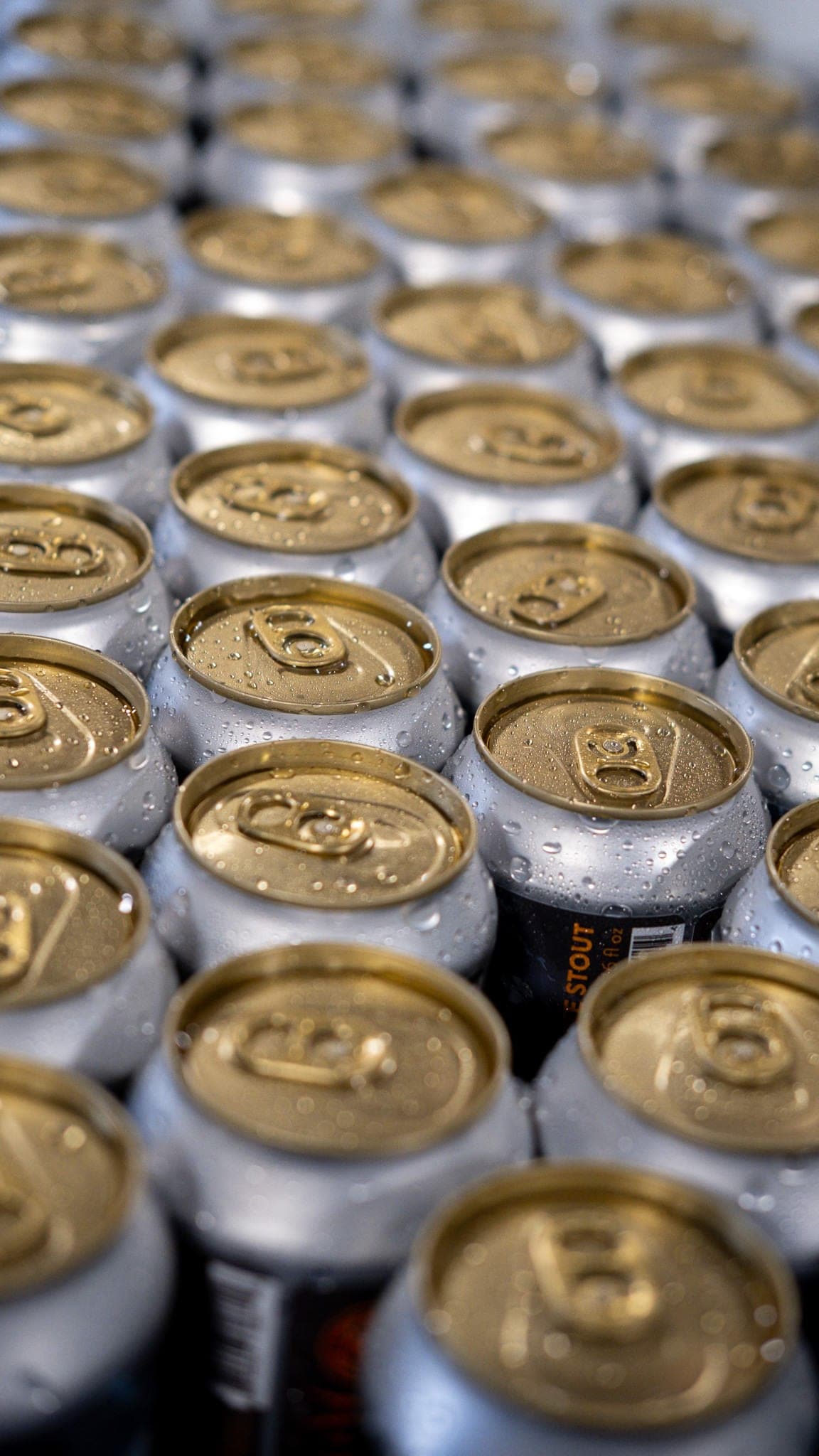 Rows of can lids fresh off the canning line